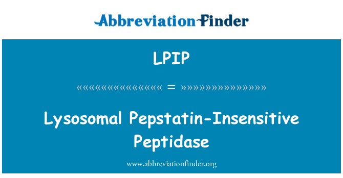 LPIP: Lysosomal Pepstatin-insensibile peptidasi