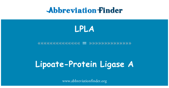 LPLA: A Lipoate-fehérje-ligáz