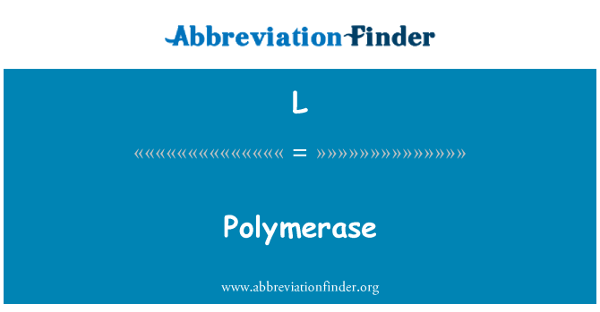 L: Polymerase