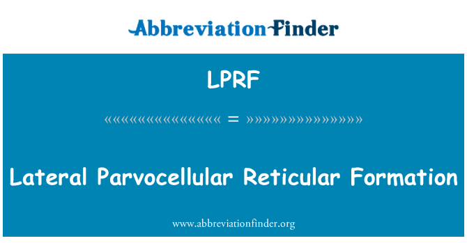 LPRF: Parvocellular 外侧网状结构