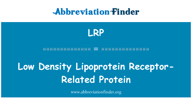LRP: Nízkou hustotou LDL Receptor související proteinů