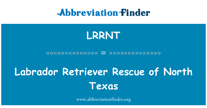 LRRNT: Labradorský retrívr Rescue Severní Texas