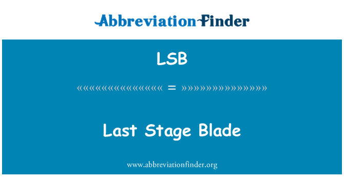 LSB: Last Stage Blade