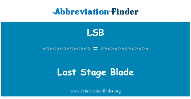 LSB: Last Stage Blade