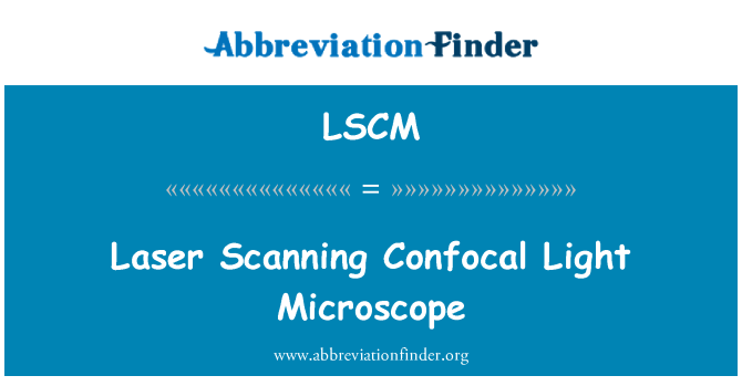 LSCM: Tal-laser Scanning Confocal Microscope tad-dawl