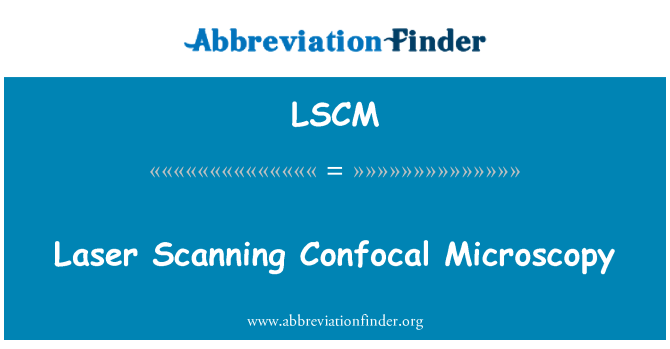 LSCM: Tal-laser Scanning mikroskopija Confocal