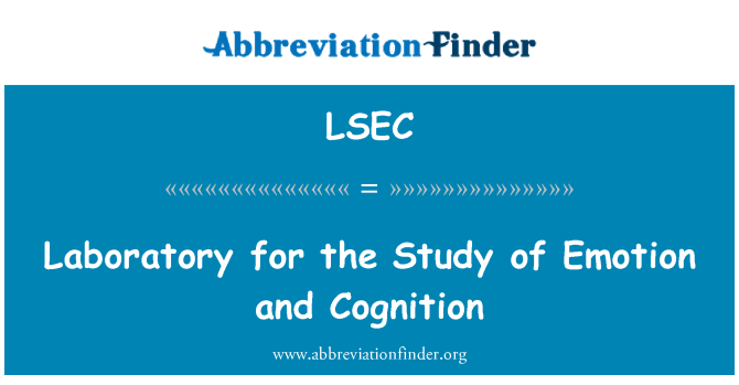 LSEC: Laboratory for the Study of Emotion and Cognition