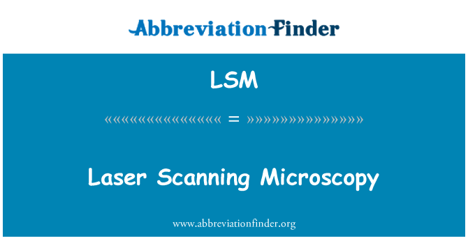 LSM: La microscopie à balayage au laser