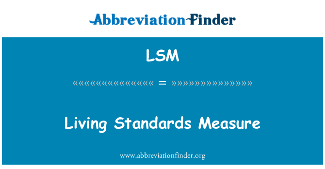 LSM: 생활 수준 측정