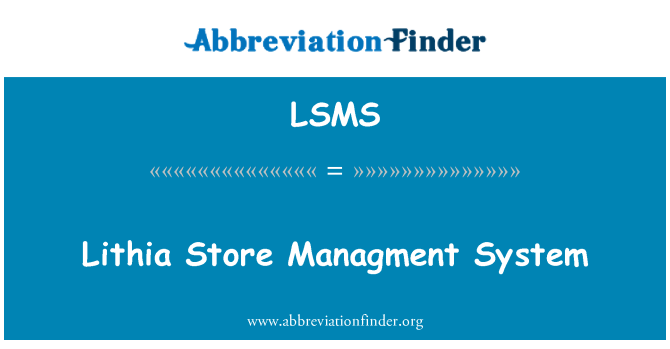 LSMS: Trgovina Lithia Managment System