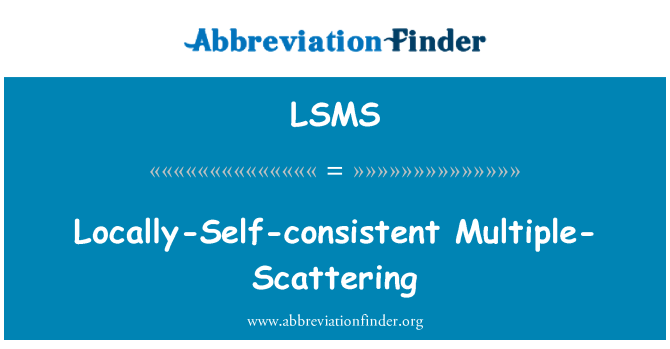 LSMS: Pelbagai-maka tempatan-diri-konsisten