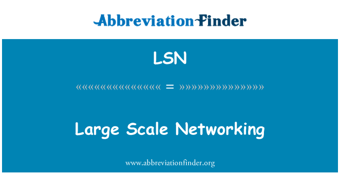 LSN: Networking fuq skala kbira