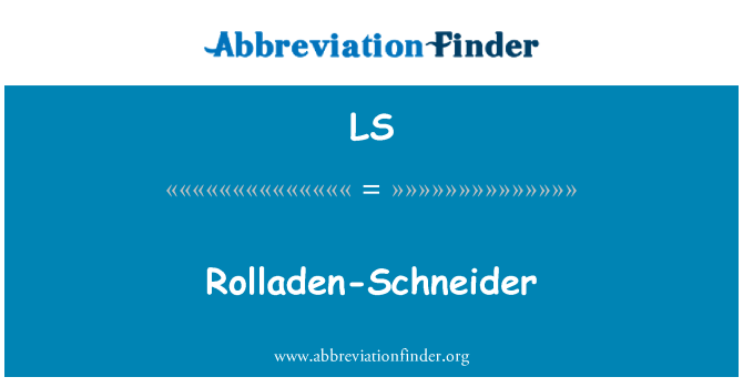 LS: Rolladen-Schneider