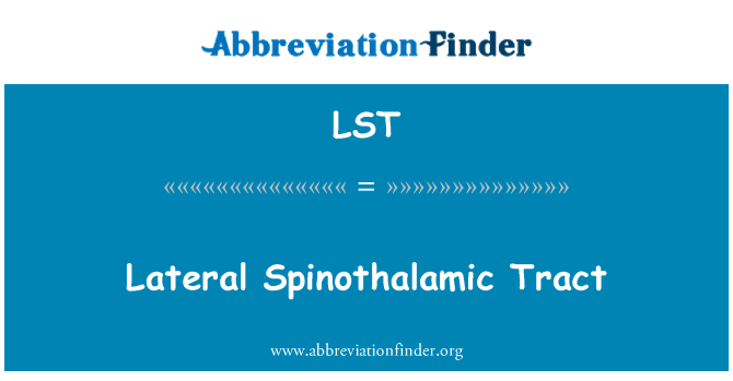 LST: Lateral Spinothalamic Tract