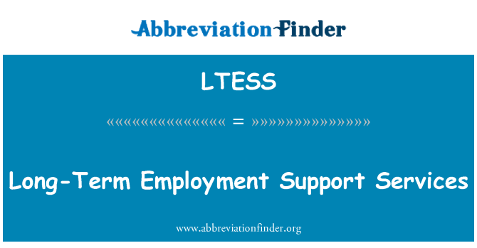 LTESS: 長期的就業支援服務