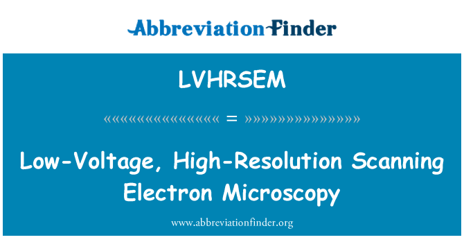 LVHRSEM: 低电压、 高分辨率的扫描电镜观察