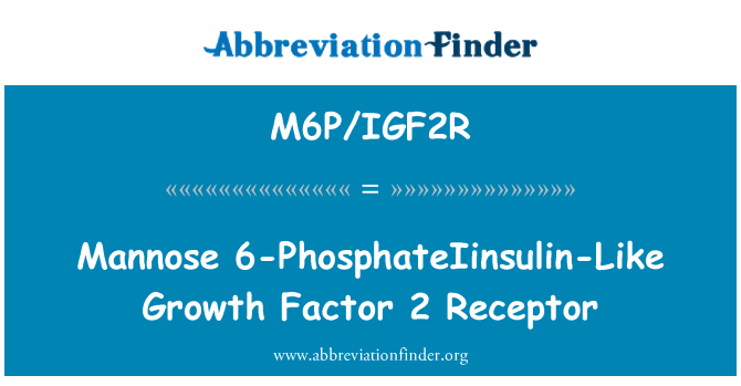 M6P/IGF2R: 6-PhosphateIinsulin-podobnega rastnega faktorja 2 manoze Receptor