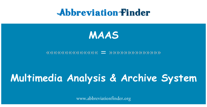 MAAS: Multimedia analyse & Archive System