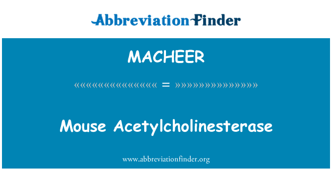 MACHEER: أستيلكولينستراز الماوس