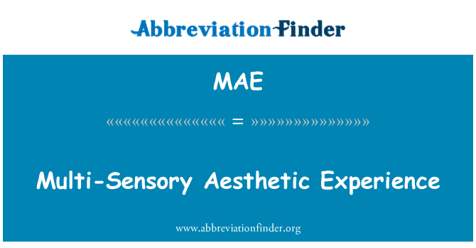 MAE: Multisensoriale esperienza estetica