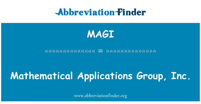 MAGI: Matematické aplikace Group, Inc.