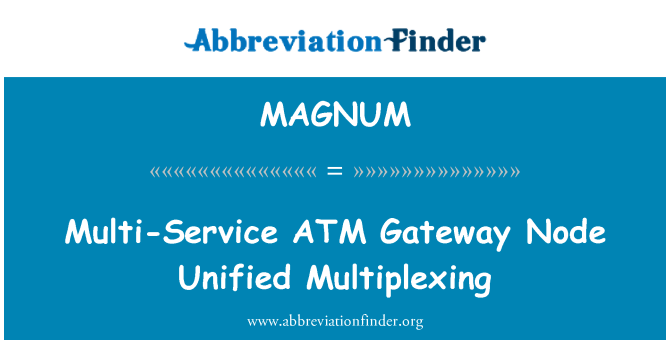 MAGNUM: Multiservei ATM Gateway Node unificada multiplexació