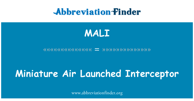 MALI: Miniatura de aire lanzado Interceptor