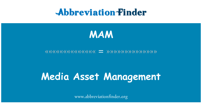 MAM: Media Asset Management