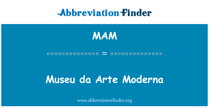 MAM: Museu दा Arte Moderna