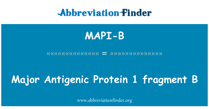MAPI-B: วิชา Antigenic โปรตีน 1 ส่วน B