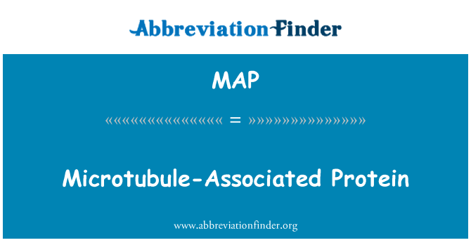 MAP: Microtubule-Associated Protein