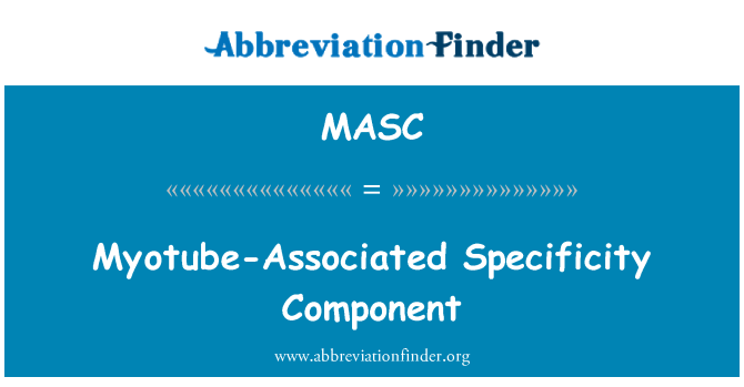 MASC: Myotube související specifičnost komponenta