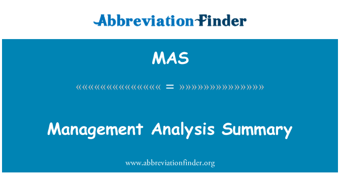 MAS: Résumé analytique de gestion