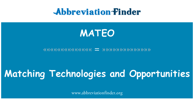 MATEO: 匹配技术和机会