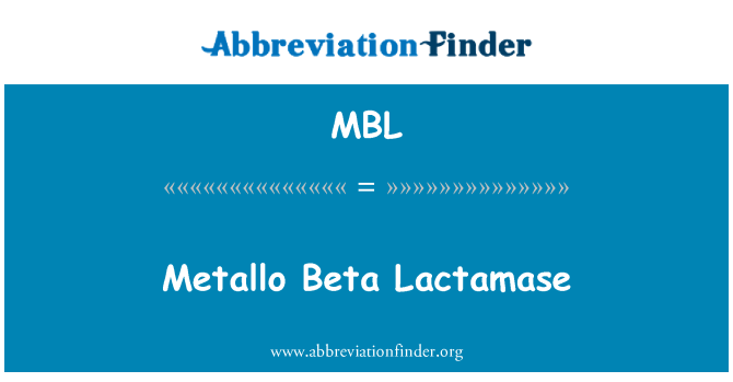 MBL: Metallo Beta Lactamase