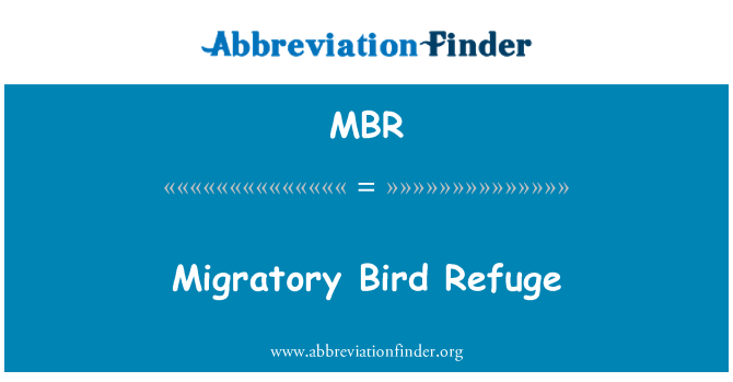 MBR: 候鸟的避难所