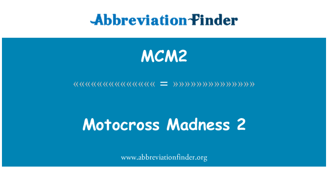 MCM2: Motocross Madness 2