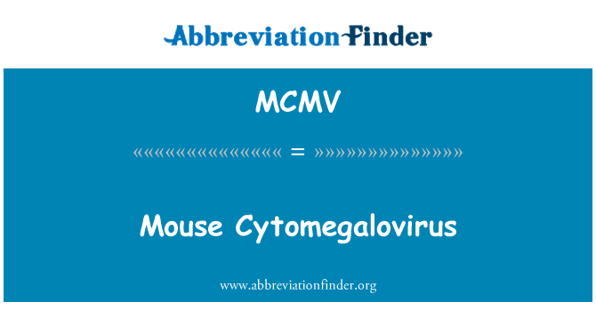 MCMV: Mouse Cytomegalovirus