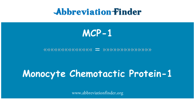 MCP-1: Monocyte Chemotactic Protein-1