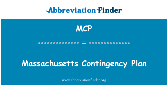 MCP: 매사 추세 츠 비상 계획