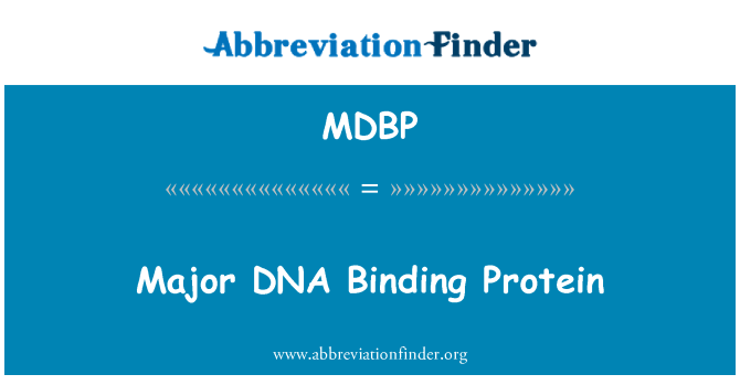 MDBP: Proteína de ligação de DNA principais