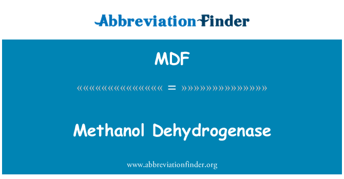 MDF: Metanooli dehüdrogenaasi