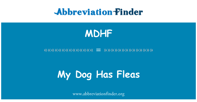 MDHF: 내 개는 벼룩