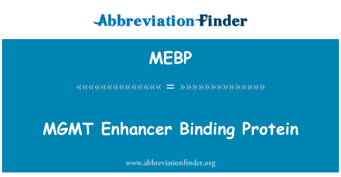 MEBP: MGMT Enhancer बाइंडिंग प्रोटीन