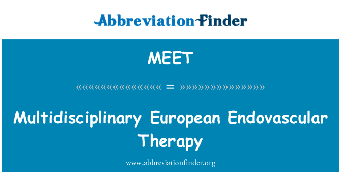 MEET: Pelbagai disiplin terapi Endovascular Eropah