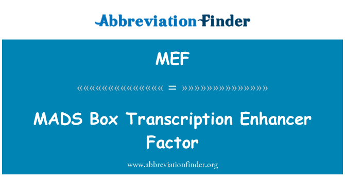 MEF: MADS Box Transcription Enhancer Factor