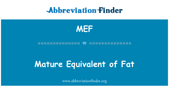 MEF: เทียบเท่ากับผู้ใหญ่ของไขมัน