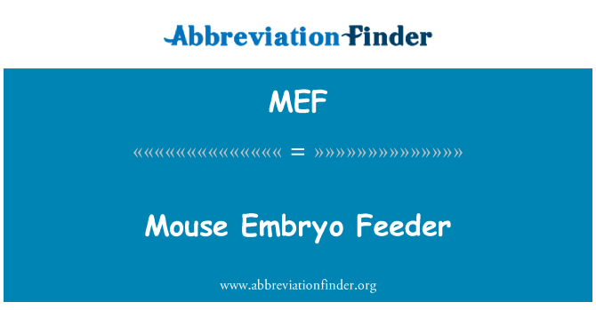 MEF: ماؤس جینین فیڈر