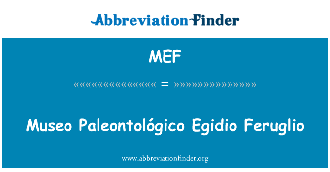 MEF: Museo Paleontológico Egidio Feruglio