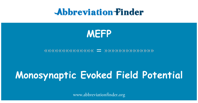 MEFP: Monosynaptic çatışmaya alan potansiyeli